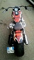 softail  silver leaf tribal 3