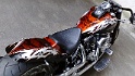 softail  silver leaf tribal