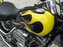 wolfgang springer 1